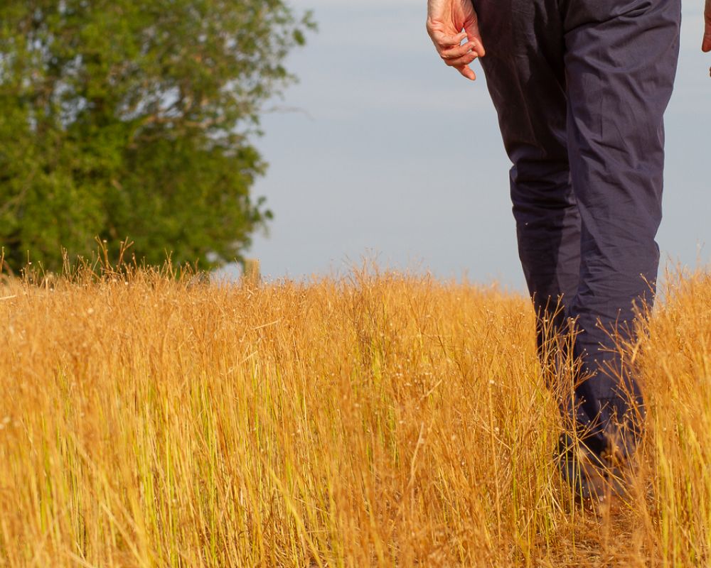 Image of walking across countryside